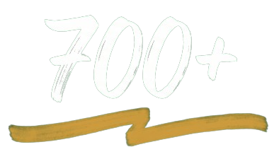 Stylized counter reading '700+', representing over seven hundred individual and family counseling sessions.